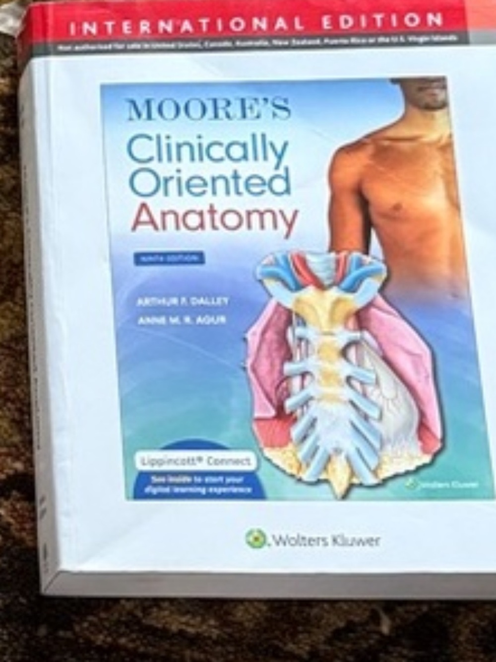 Moore's Clinically Oriented Anatomy Textbook - Blue/White Cover